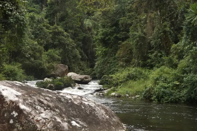 Partons à la découverte du Parc National de Marolambo